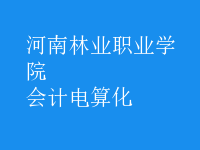 會計電算化
