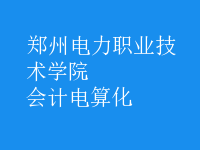 會計電算化