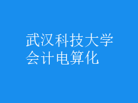 會計電算化