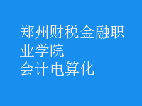 會計電算化