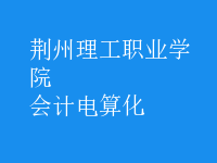 會計電算化