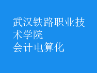 會計電算化