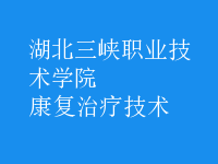康復治療技術(shù)