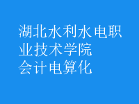 會計電算化