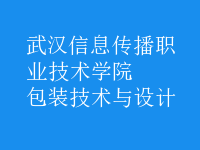 包裝技術(shù)與設計