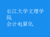 會計電算化