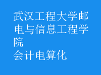 會計電算化