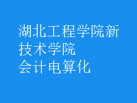 會計電算化