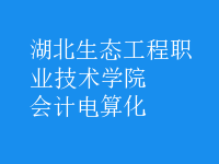 會計電算化