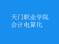 會計電算化