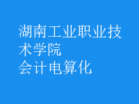 會(huì)計(jì)電算化