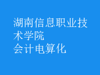 會(huì)計(jì)電算化