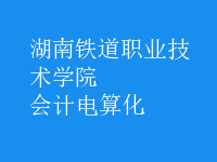 會(huì)計(jì)電算化