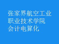 會(huì)計(jì)電算化