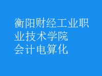 會(huì)計(jì)電算化