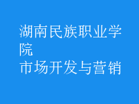 市場(chǎng)開(kāi)發(fā)與營(yíng)銷(xiāo)