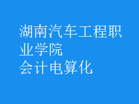 會(huì)計(jì)電算化