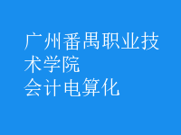 會計電算化