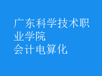 會計電算化