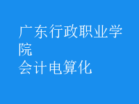 會計電算化