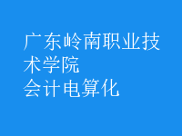 會計電算化