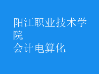 會計電算化