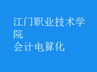 會計電算化
