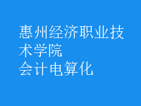 會計電算化