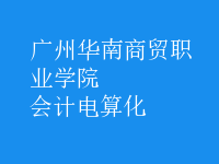 會計電算化