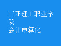 會計(jì)電算化