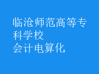 會計電算化