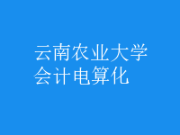 會計電算化