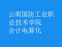 會計電算化