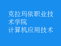 計算機應用技術