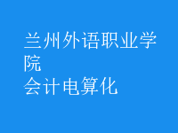 會計電算化