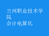 會計電算化