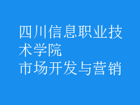 市場(chǎng)開(kāi)發(fā)與營(yíng)銷(xiāo)