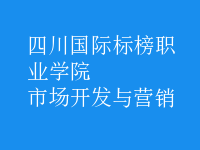 市場(chǎng)開(kāi)發(fā)與營(yíng)銷(xiāo)