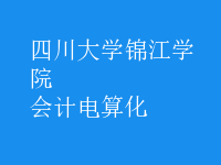 會計電算化