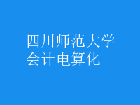 會計電算化