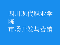 市場(chǎng)開(kāi)發(fā)與營(yíng)銷(xiāo)