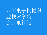 會計電算化