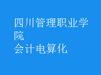 會計電算化