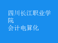 會計電算化