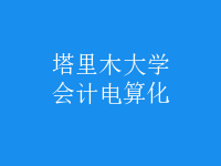 會計電算化
