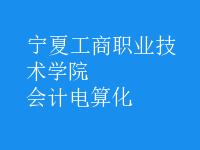 會(huì)計(jì)電算化