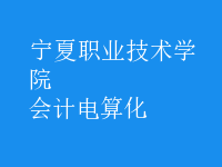 會(huì)計(jì)電算化