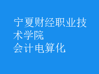 會(huì)計(jì)電算化