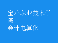 會(huì)計(jì)電算化