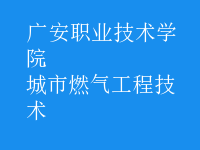 城市燃氣工程技術(shù)